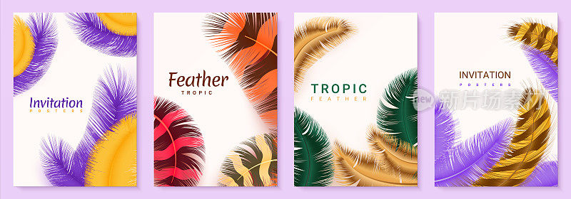 Greeting cards. Posters and invitations with realistic 3D feathers, swan and goose colored plumage. Templates exotic animals pen with lettering for holidays, advertising vector set